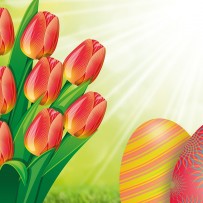 Achtsamkeit im Frühling